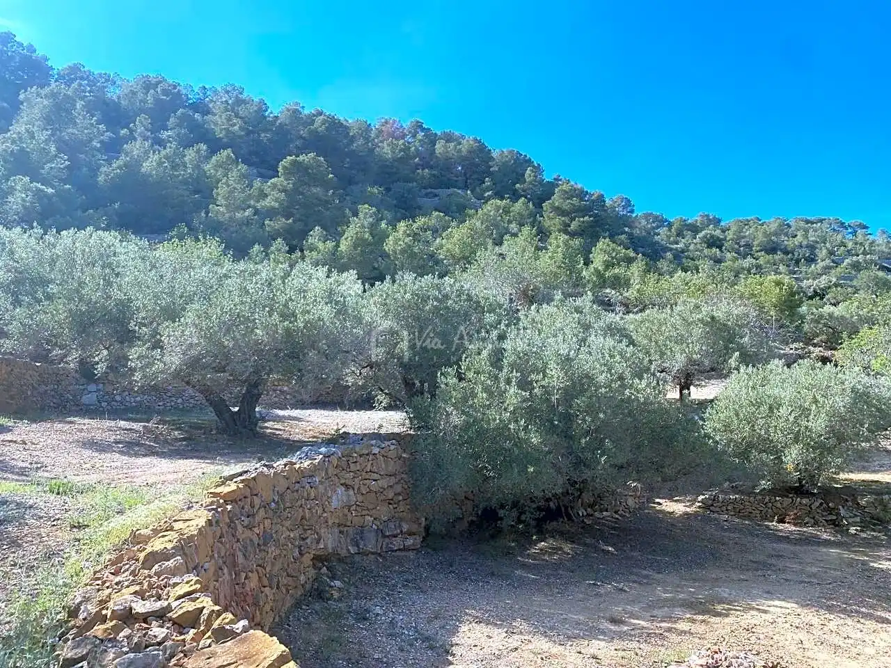 Terreno rustico in vendita a Puig Moltó, imagen 22