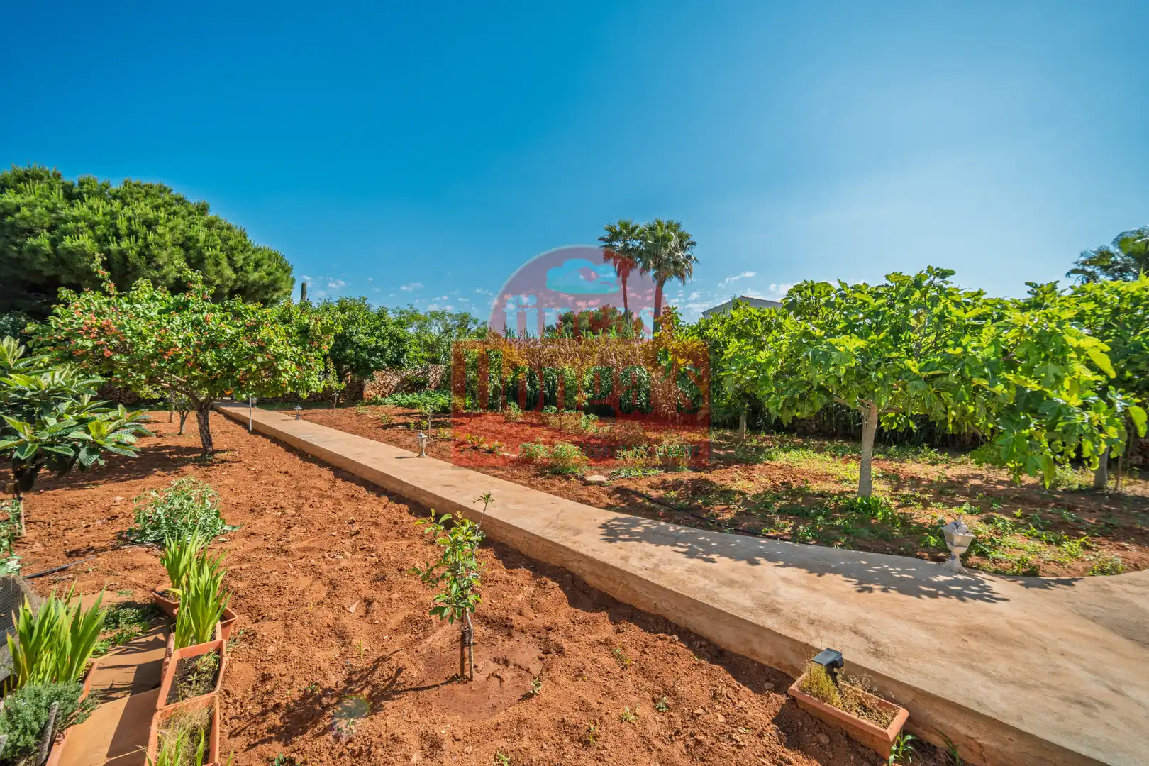 Villa mit Garten zum Verkauf in Cala Blanca, imagen 23