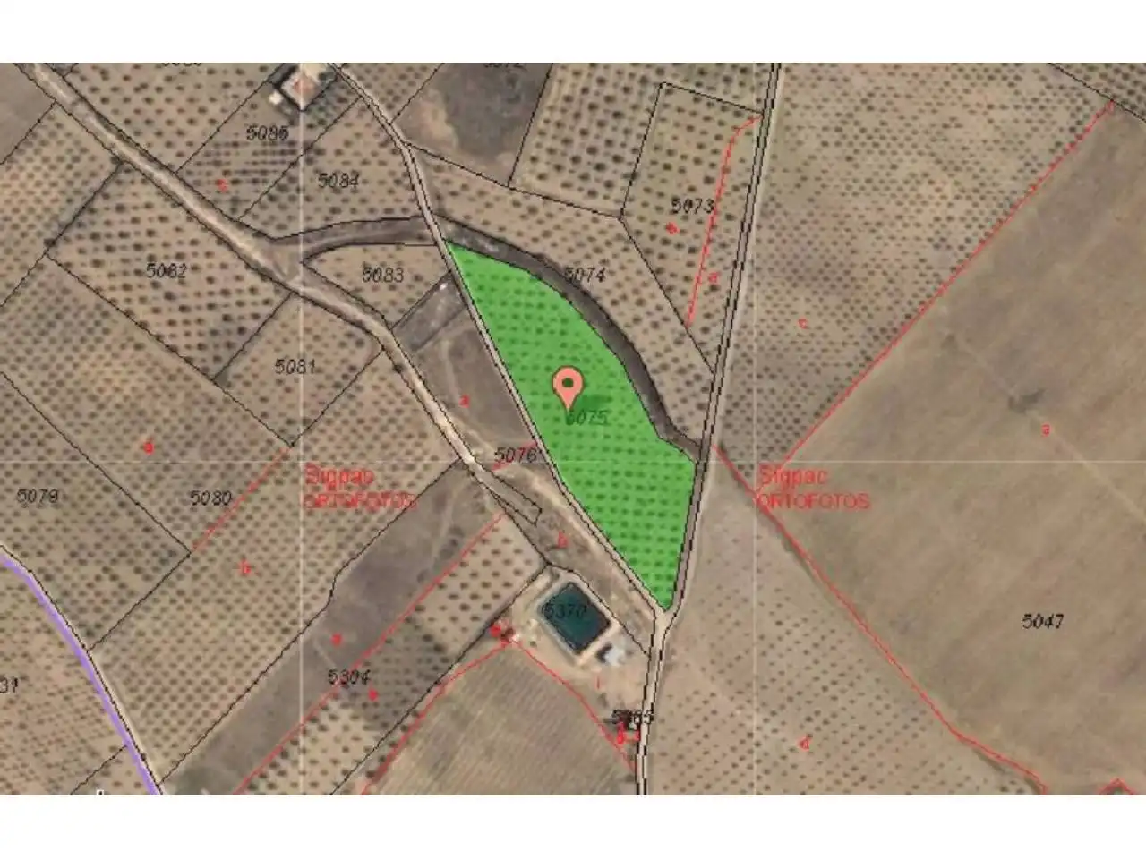 Land for sale in Caudete
