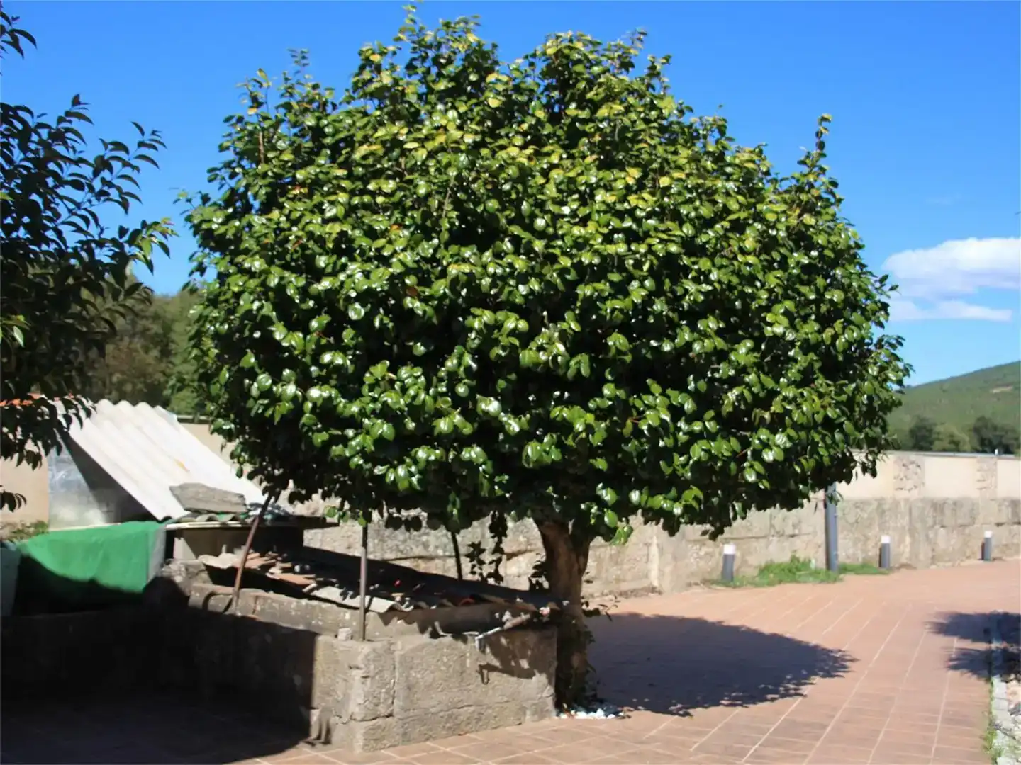 Vista exterior de Finca rústica en venda en Monterrei amb Jardí privat, Piscina i Balcó