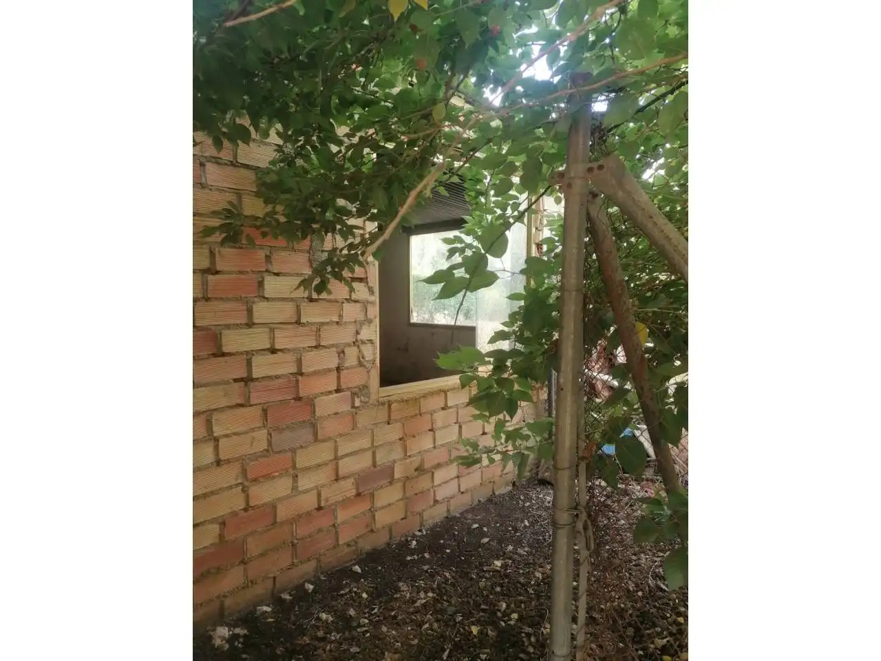 Jardí de Casa o xalet en venda en Carmona amb Jardí privat