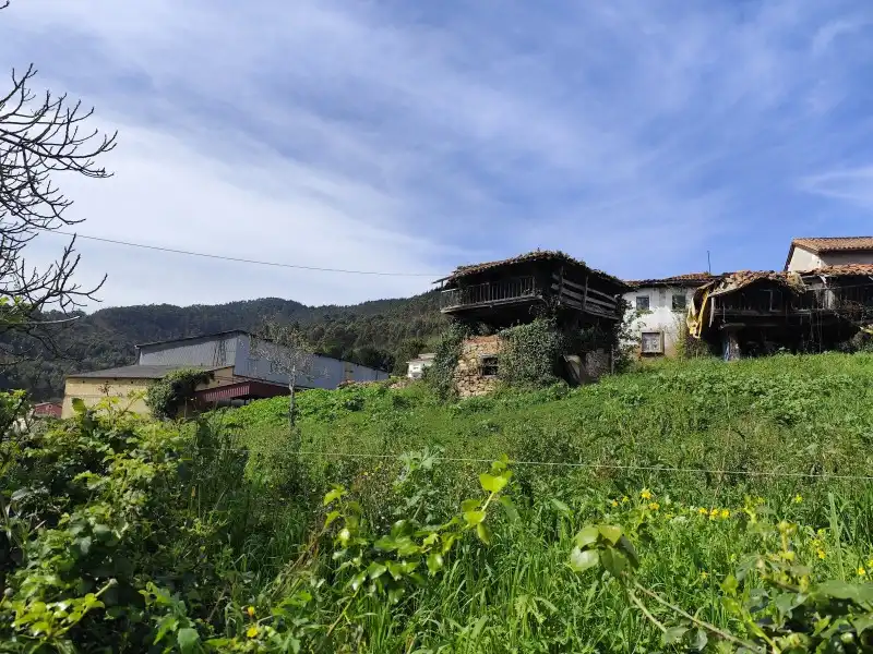Finca rústica en venda a N/A, -1, Pravia