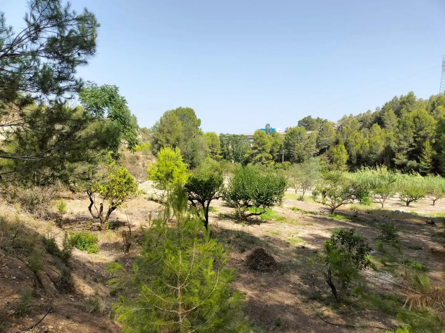 Local en venta en L'Alcúdia de Crespins