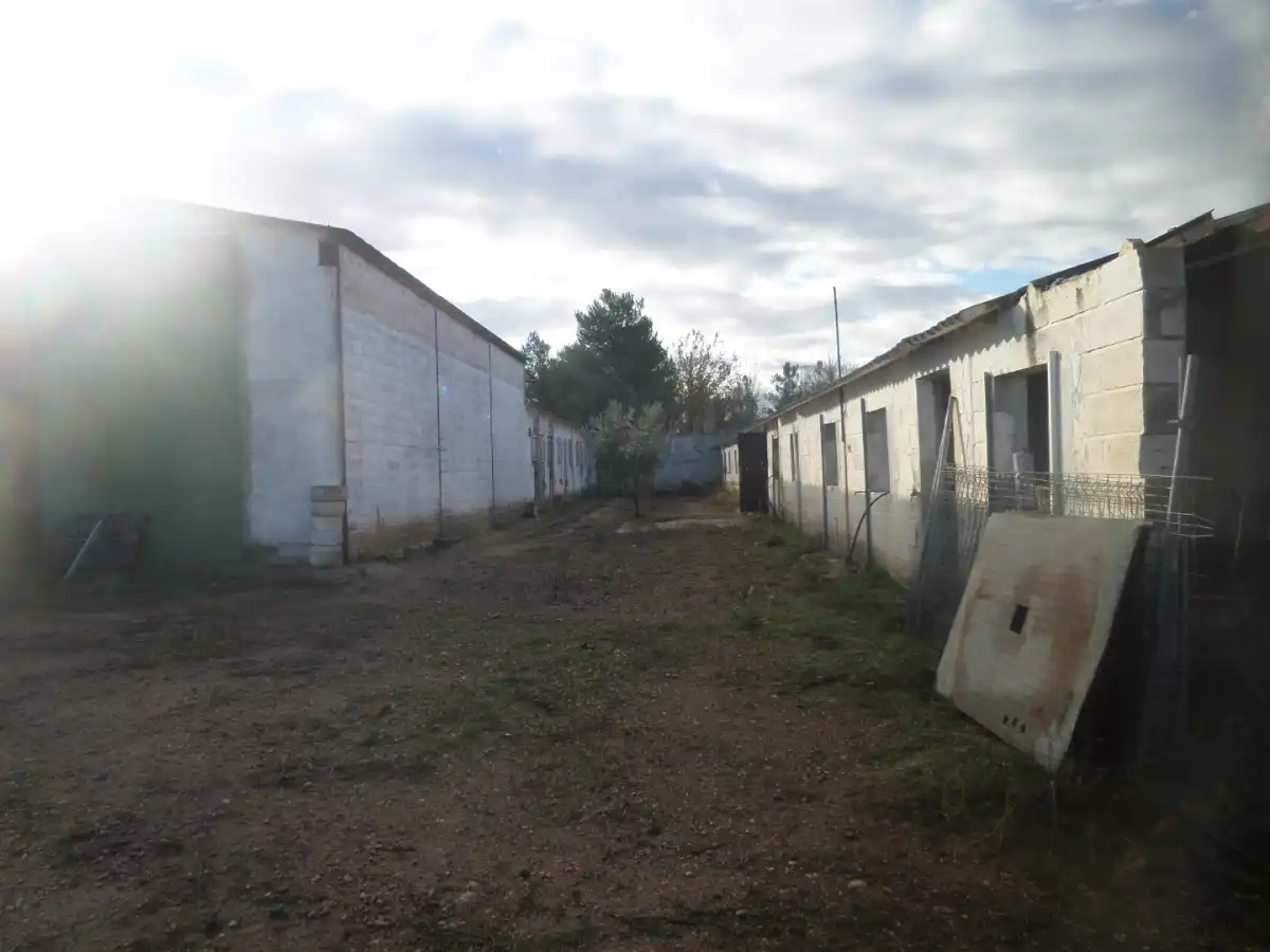 Nau industrial en venda a Tomelloso, imagen 3