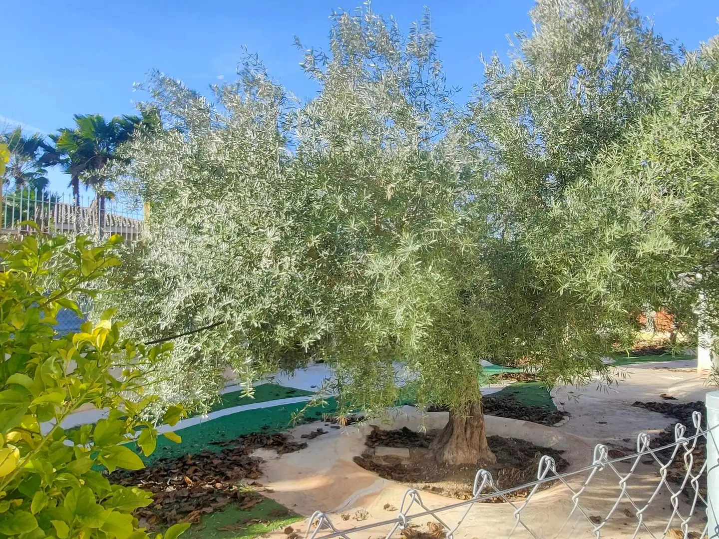 Chalet en venta en Aspe Centro, imagen 14