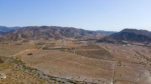 Gran Oportunidad en Tabernas! Finca de 14 Hectáreas, immagine 4