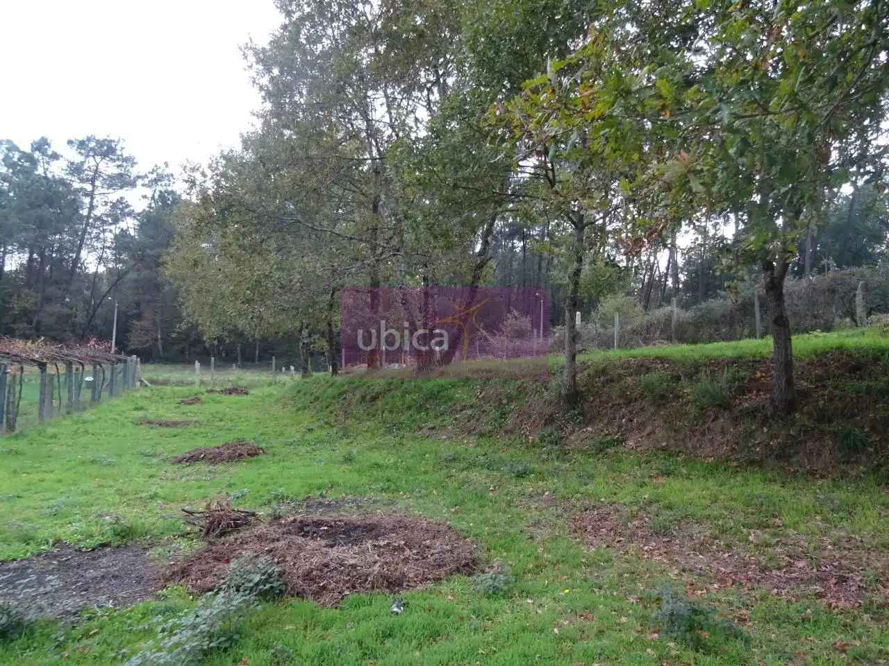 Terreny residencial en venda a Mos, imagen 10