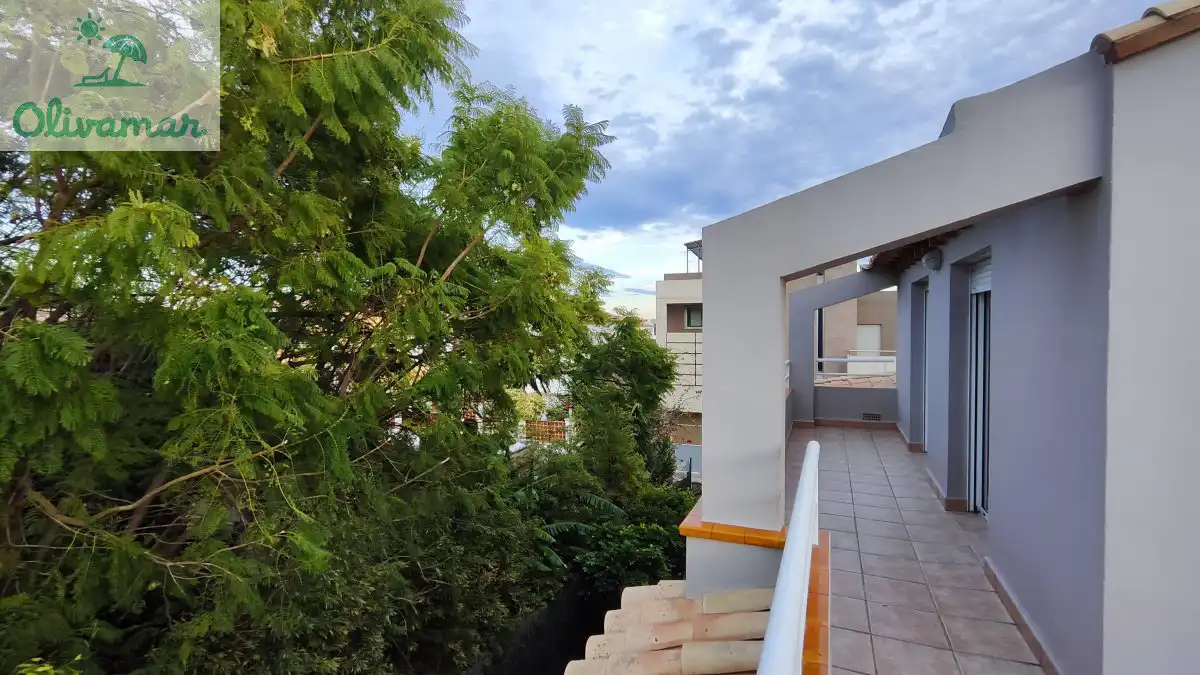 Terrassa de Casa o xalet en venda en Oliva amb Moblat
