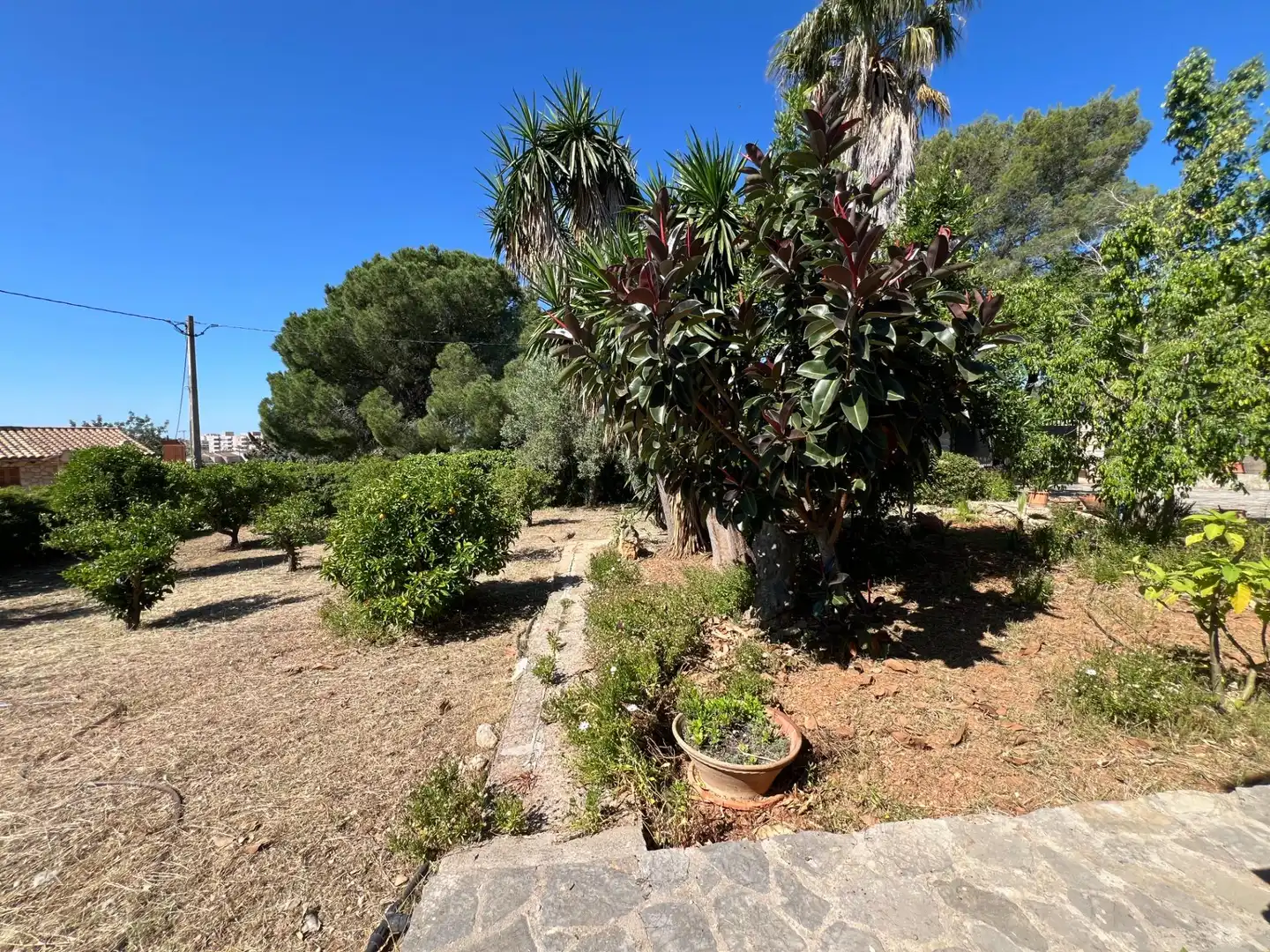 Jardín de Finca rústica en venta en Inca con Aire acondicionado, Calefacción y Jardín privado