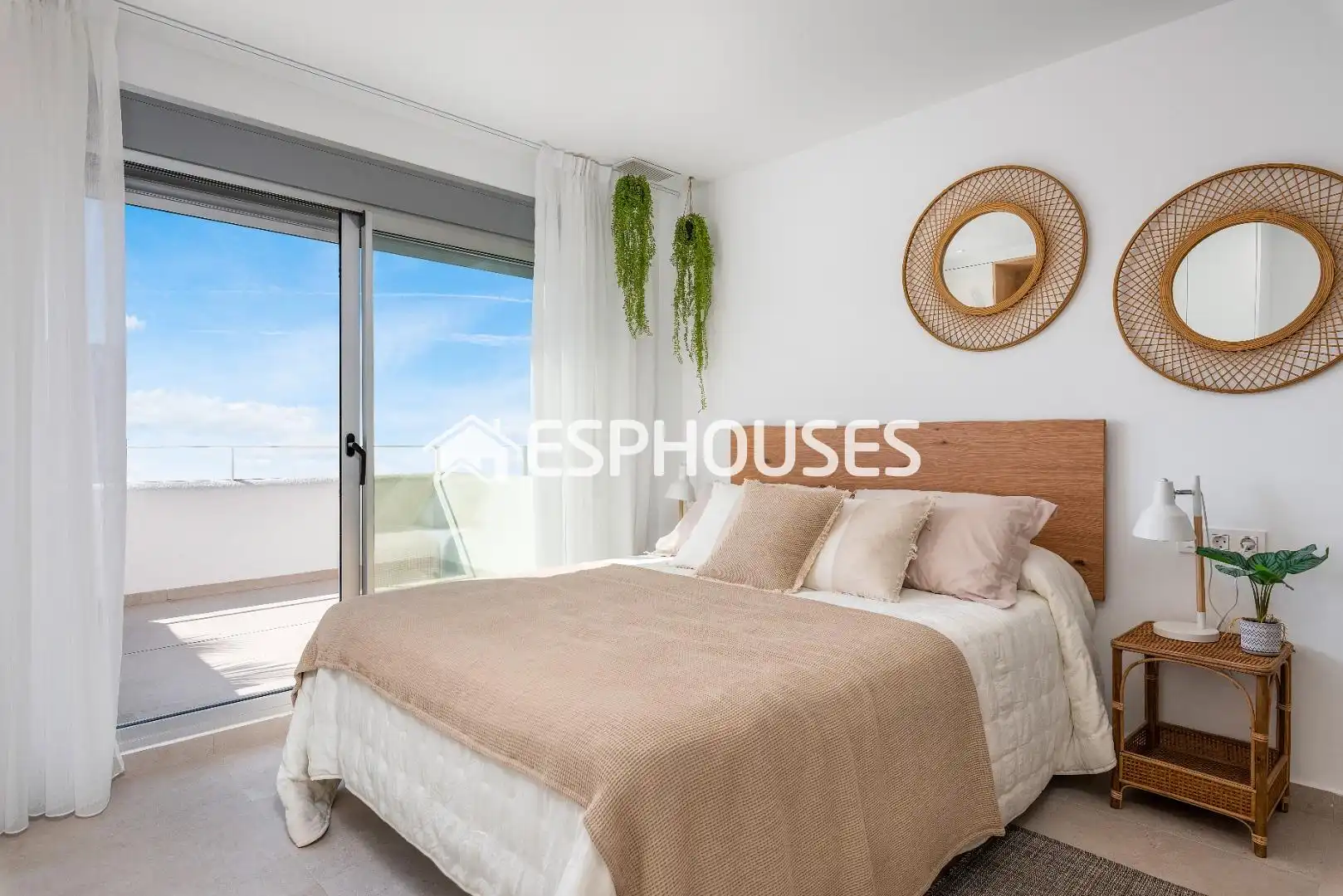 Ground floor with terrace for sale in Dolores, imagen 9