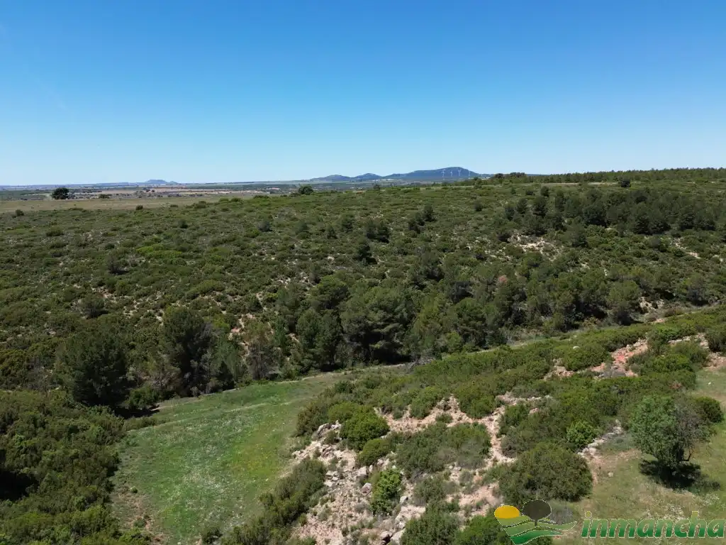 Terreni e lotti in vendita a Almansa, imagen 4