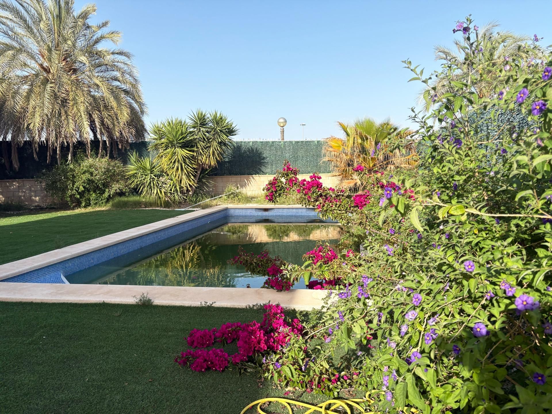 Piscina de Casa o xalet en venda en Elche / Elx amb Aire condicionat, Calefacció i Jardí privat