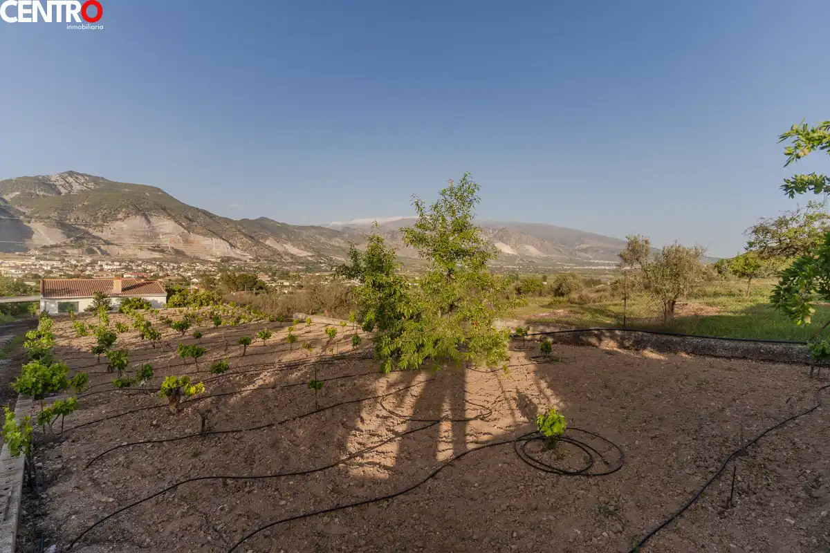 Casa con giardino in vendita a molinos, imagen 25