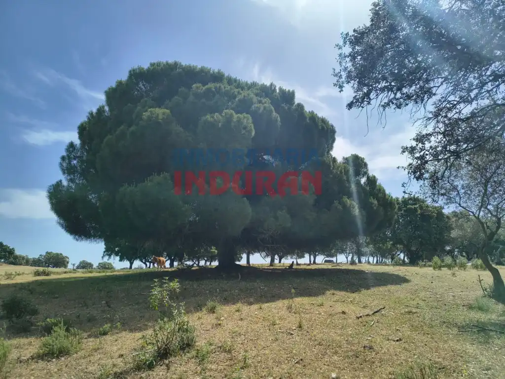 Finca rústica en venda en Talaván