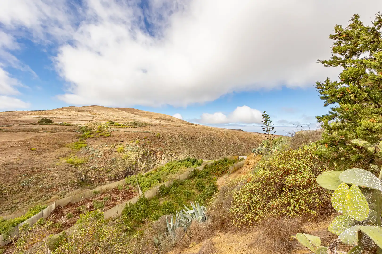 Residencial en venta en Lugar Lomo del Poleo, Saucillo - Fagajesto - Juncalillo