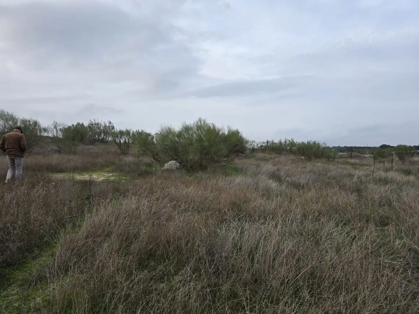 Terreny rústic en venda a Villaralto, imagen 2
