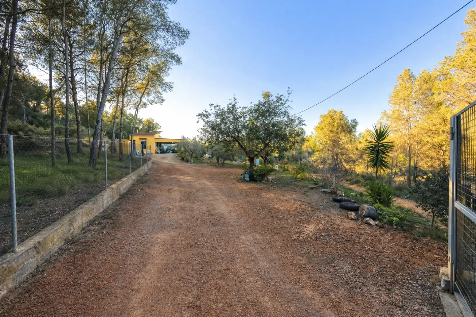 Vista exterior de Casa o chalet en venta en Algímia de Alfara con Jardín privado, Trastero y Piscina