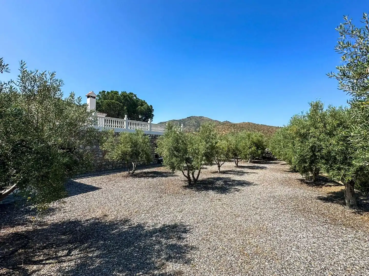 Jardín de Casa o chalet en venta en Ítrabo con Aire acondicionado, Calefacción y Trastero