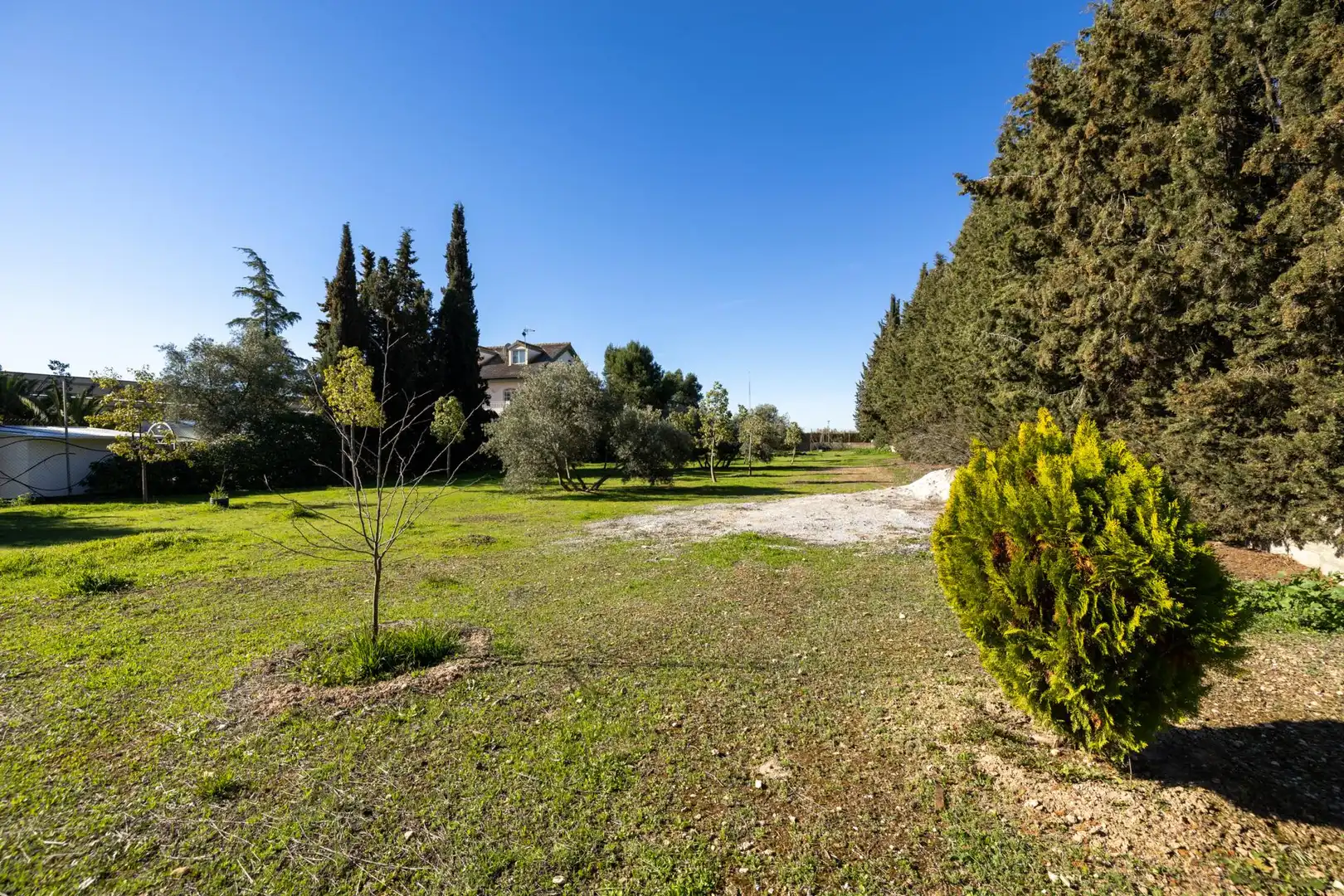 Terreni e lotti in vendita a Urbanización los Cortijos 160, imagen 12