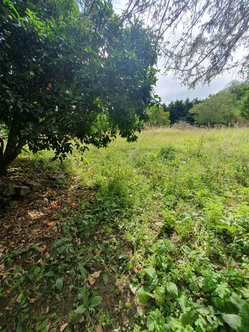 Terrenys i solars en venda a Belmonte de Miranda, imagen 6