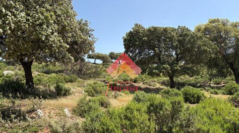 Foto 4 de Finca rústica en venda a San Rafael, Málaga