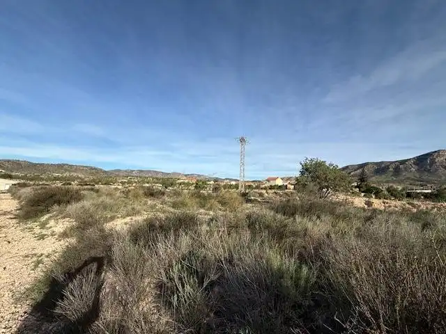 Lands and plots for sale in Abanilla, imagen 2