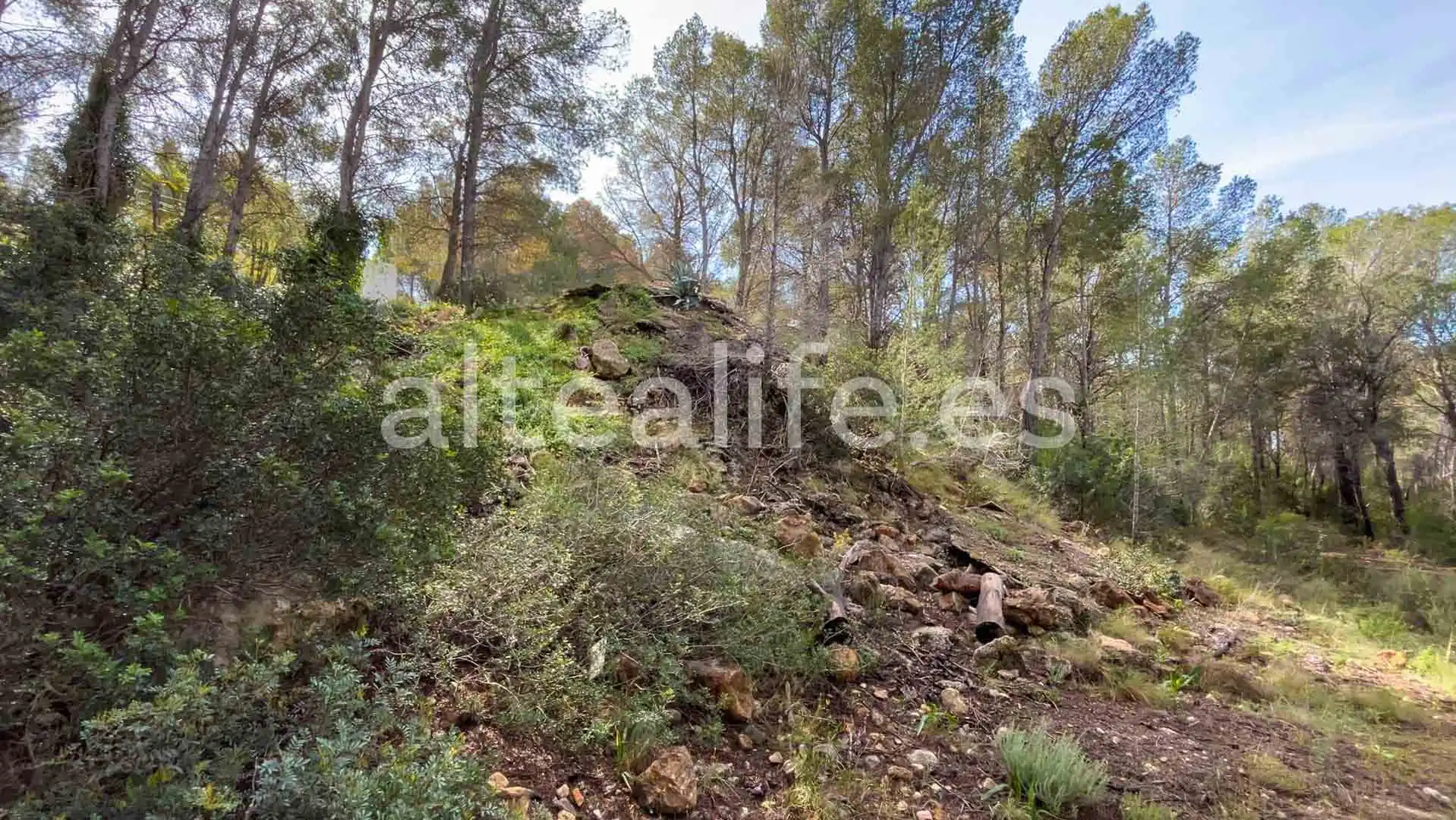 Terreny residencial en venda a Calle Erica, imagen 12