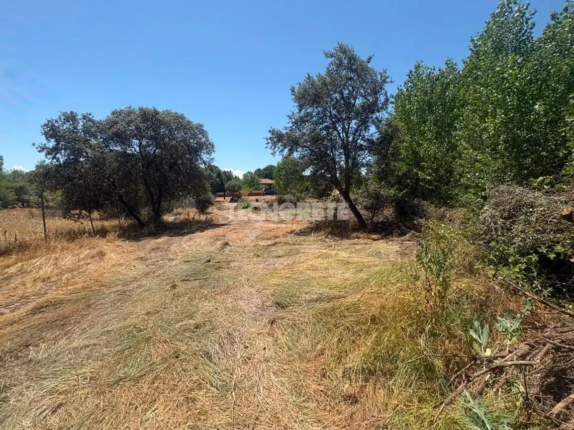 Terreno residenziale in vendita a Serranillos Playa S 6R, imagen 7