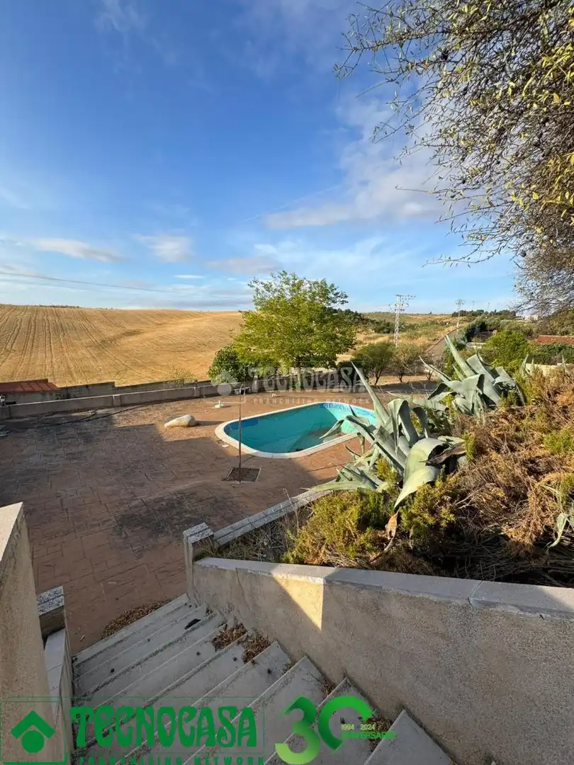Piscina de Casa o chalet en venta en Albarreal de Tajo con Piscina