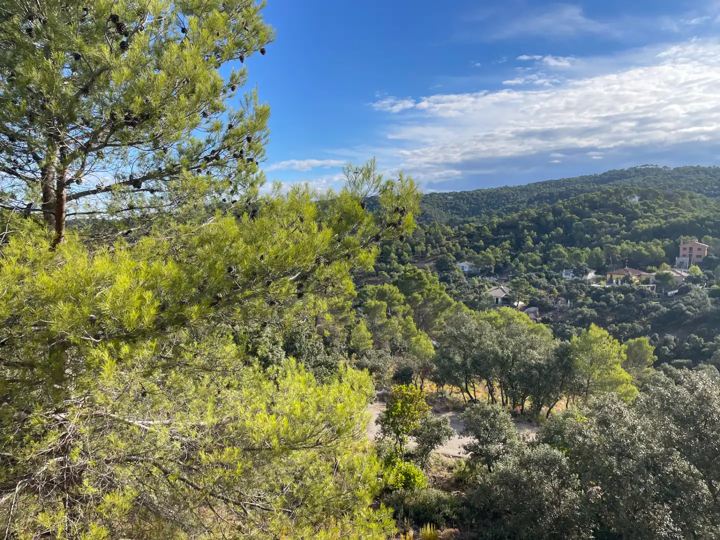 Vista exterior de Casa o chalet en venta en Albalate de Zorita con Calefacción, Jardín privado y Terraza