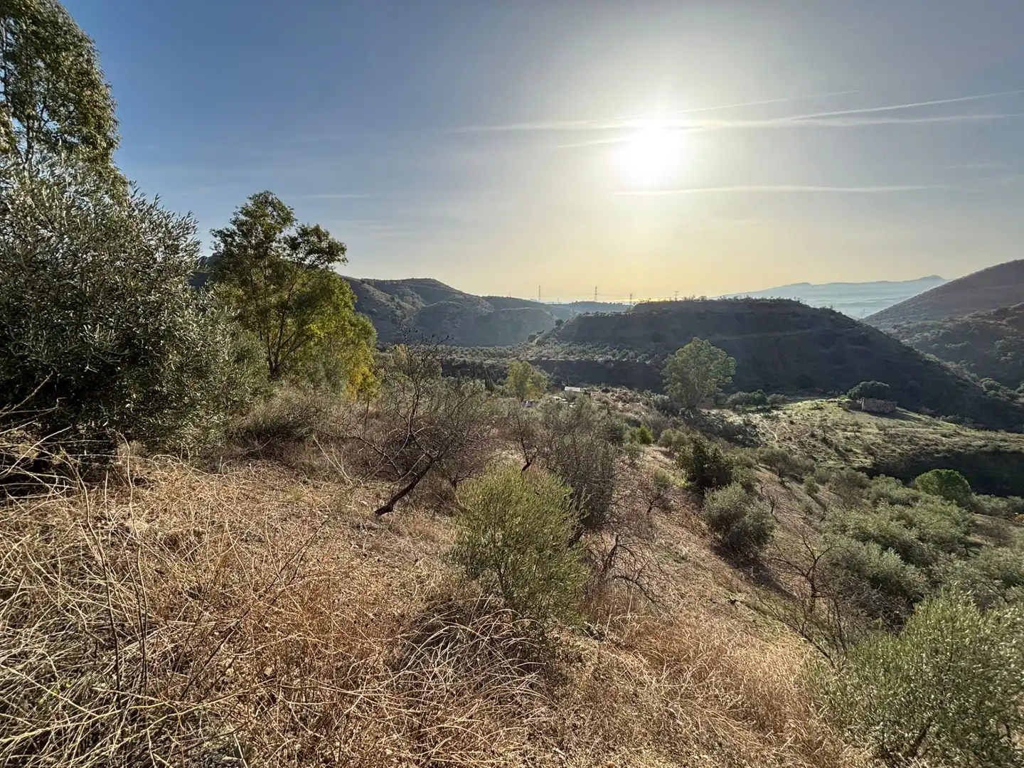 Terreno en venta en Cártama