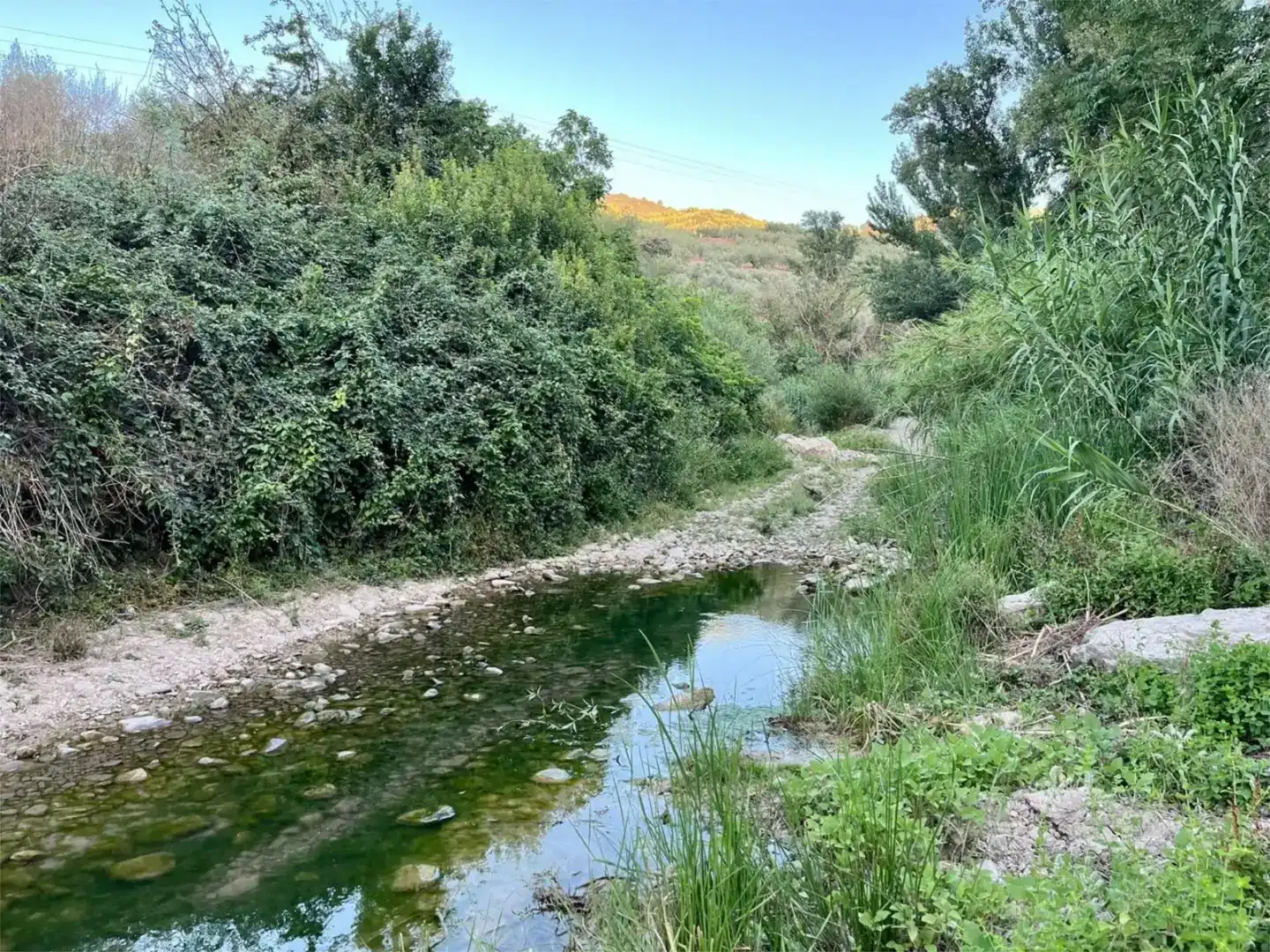 Vista exterior de Pis en venda en Loja amb Jardí privat, Traster i Piscina