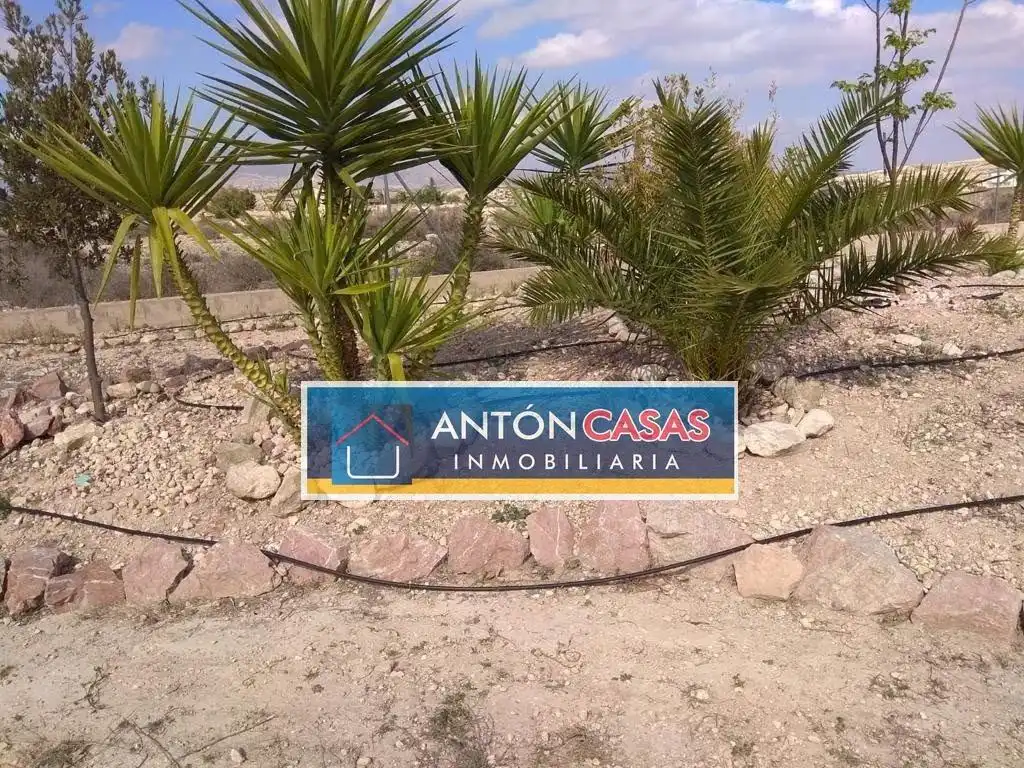 Finca rústica en venda a Novelda