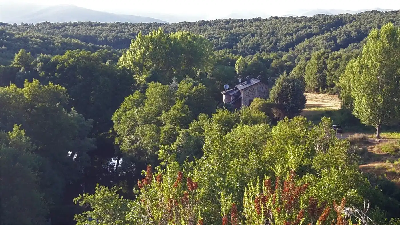 Jardí de Local en venda en Puebla de Sanabria