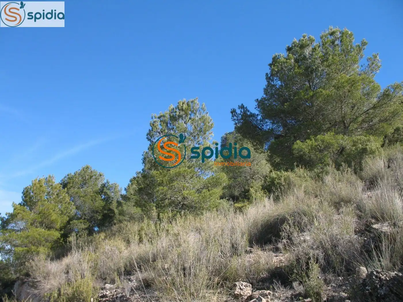Residential land for sale in Pedanías Norte, imagen 21