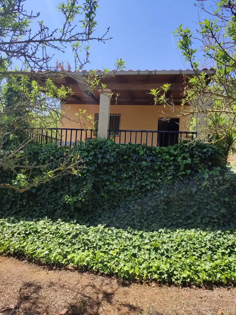 Vista exterior de Finca rústica en venda en Chóvar
