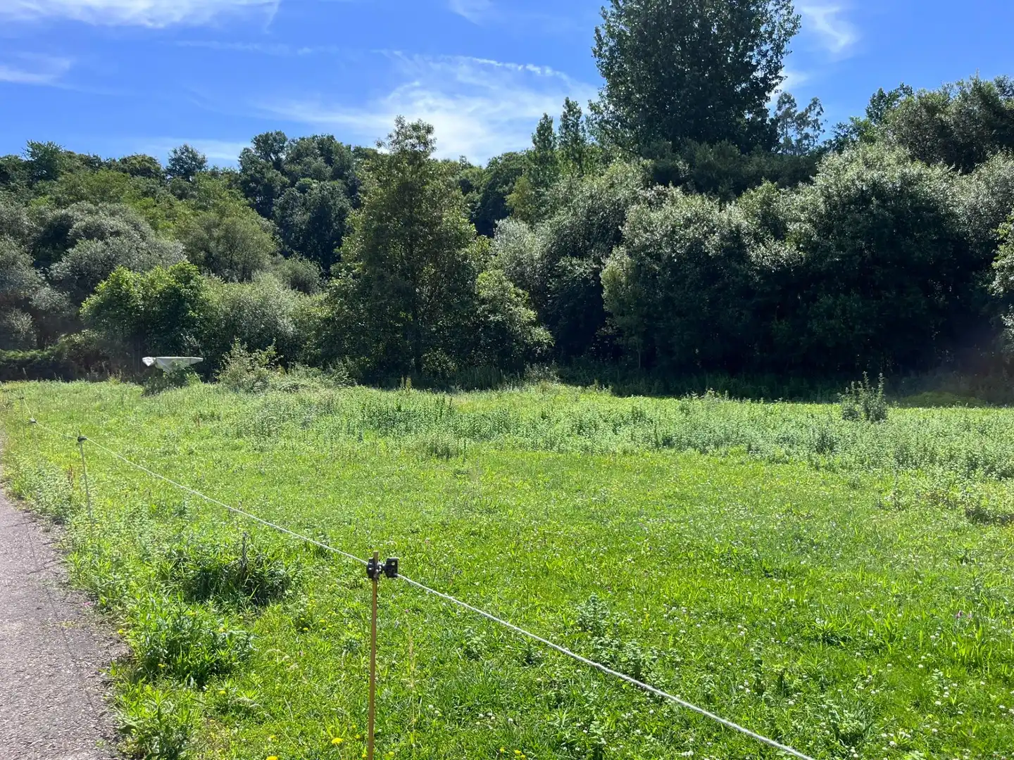 Residential for sale in Reocín