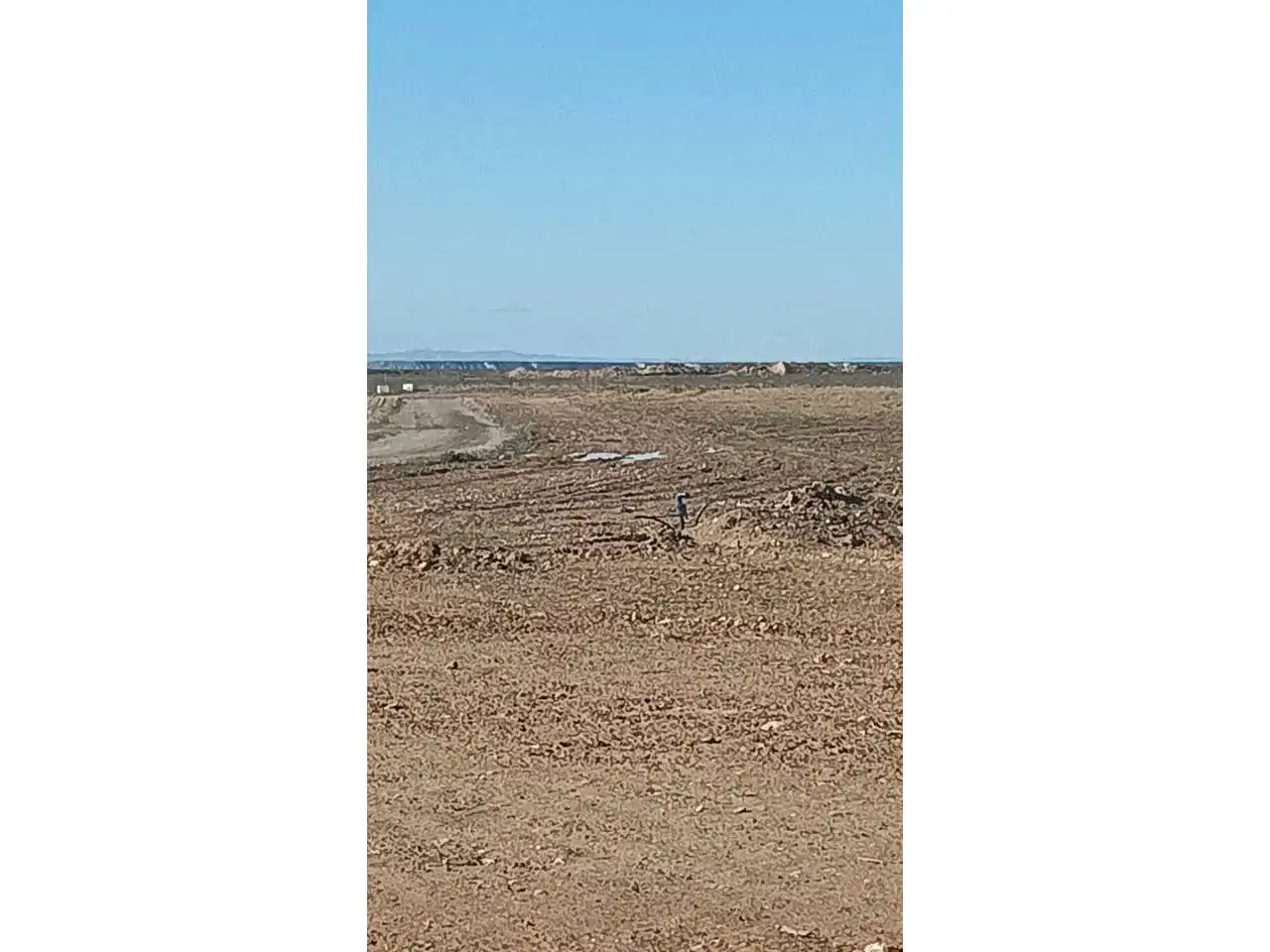 Terreno en venta en Belver de Cinca