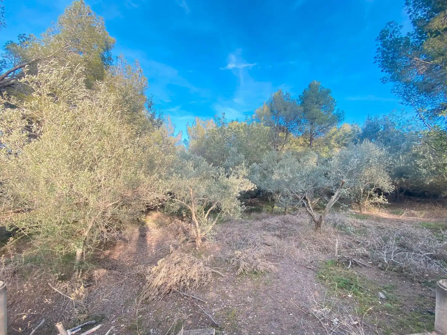 Casa o xalet en venda a Carlet