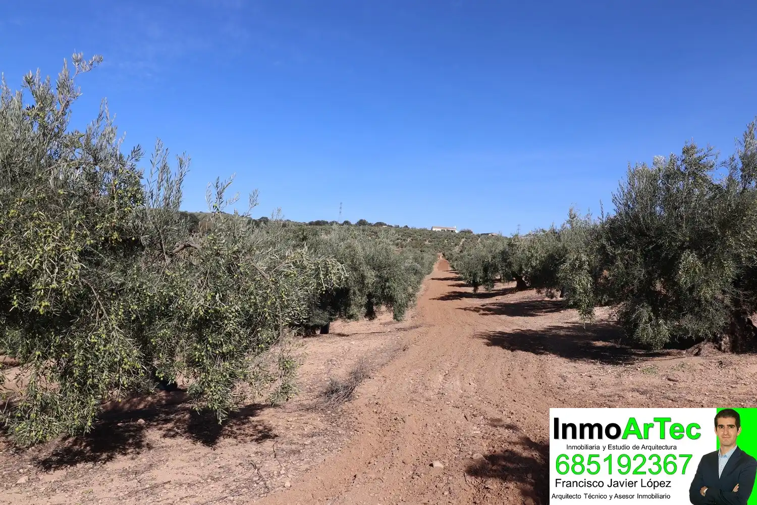 Finca rústica en venda en Iznalloz amb Jardí privat, Terrassa i Piscina