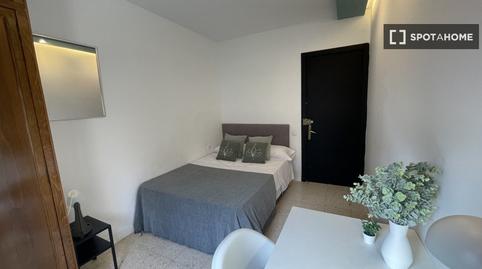 Foto 2 de Pis per a compartir a Parque María Luisa -Giralda Sur,  Sevilla Capital