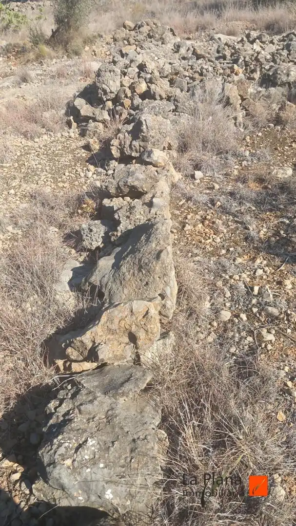 Terreno rustico in vendita a Alcanar, imagen 6