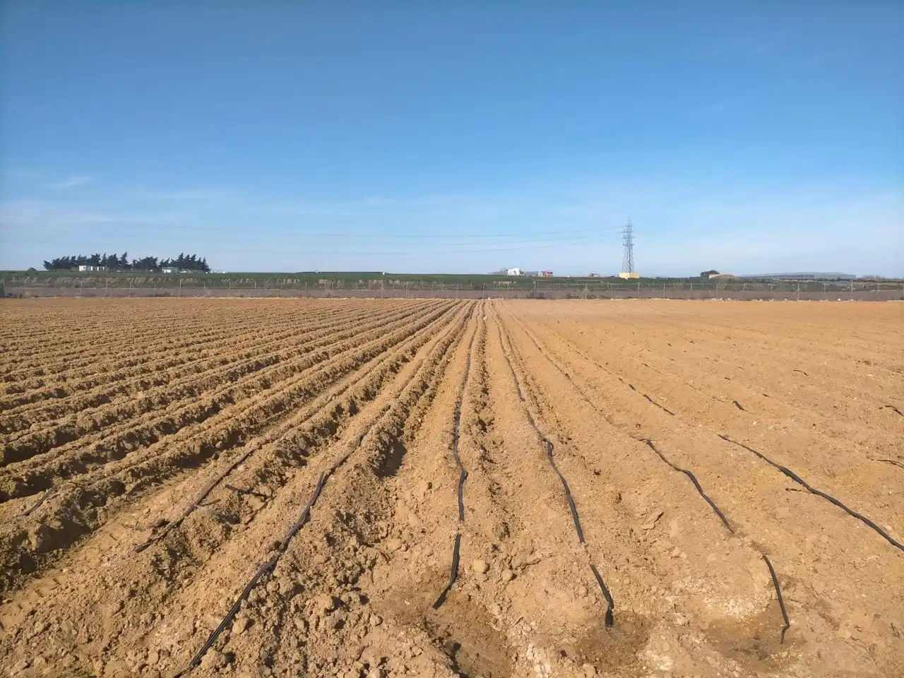 Terreni e lotti in vendita a La Loma Baja, imagen 4