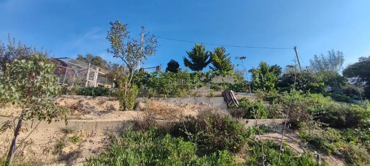 Terreny rústic en venda a Carrer Mar del Nord 1, imagen 8