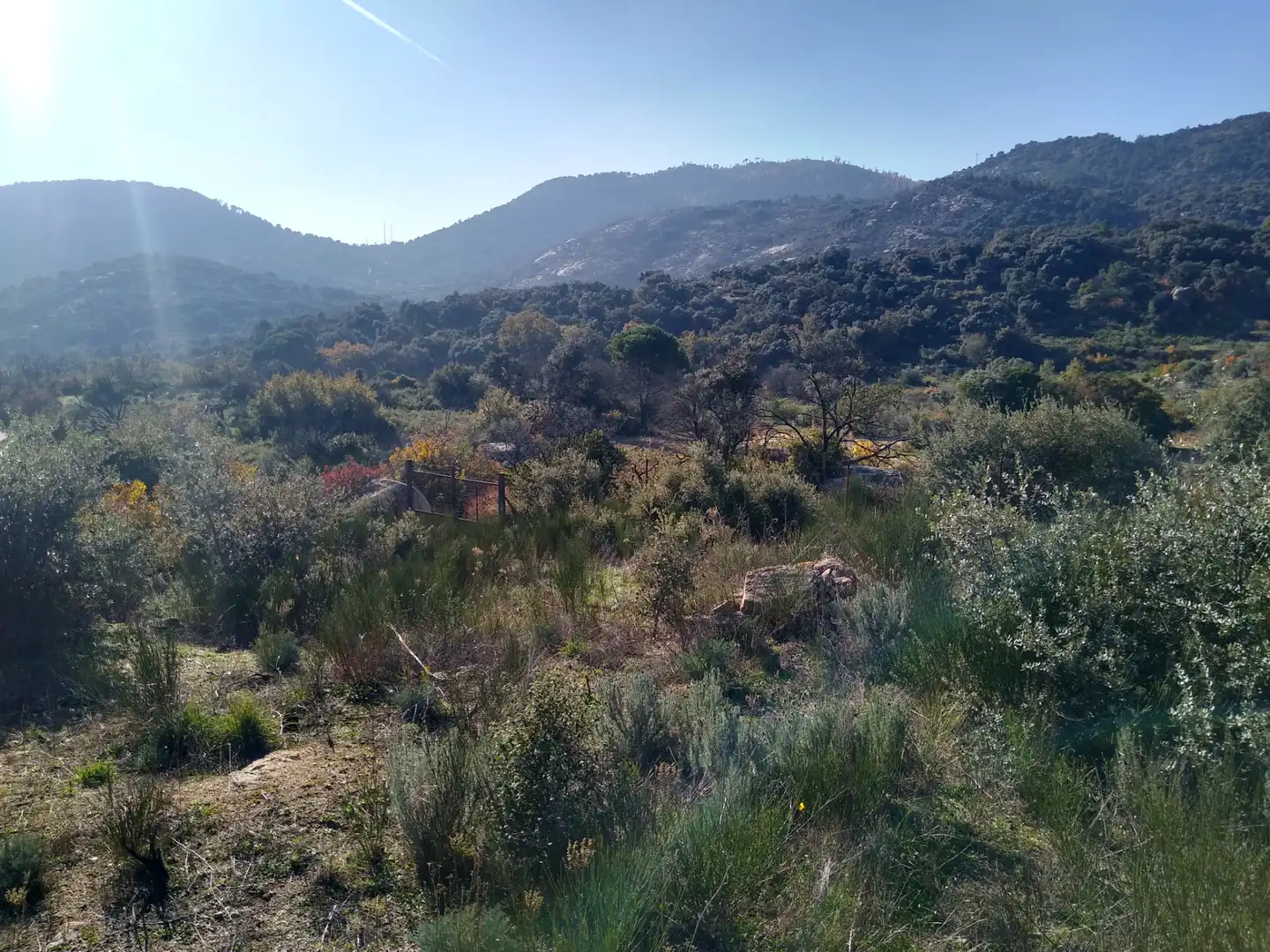 Rural land for sale in Cadalso de los Vidrios, imagen 2