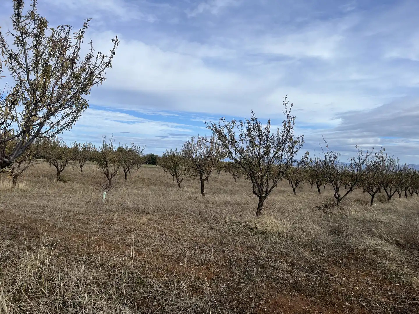Rustikales Grundstück zum Verkauf in Avenida de Andalucía, imagen 4