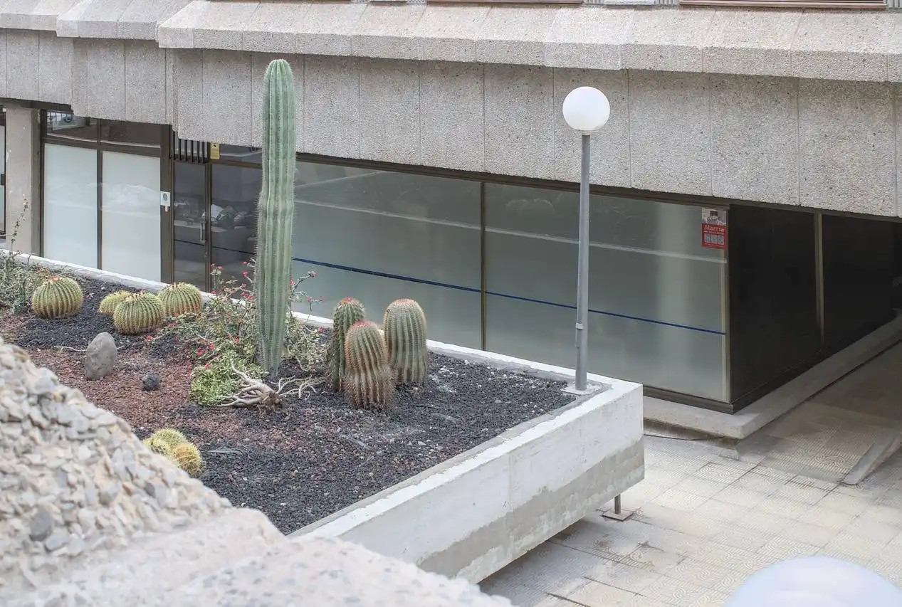 Außenansicht von Wohnung zur Miete in Las Palmas de Gran Canaria mit Terrasse und Abstellraum