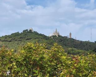Exterior view of House or chalet for sale in  Barcelona Capital  with Heating, Private garden and Terrace