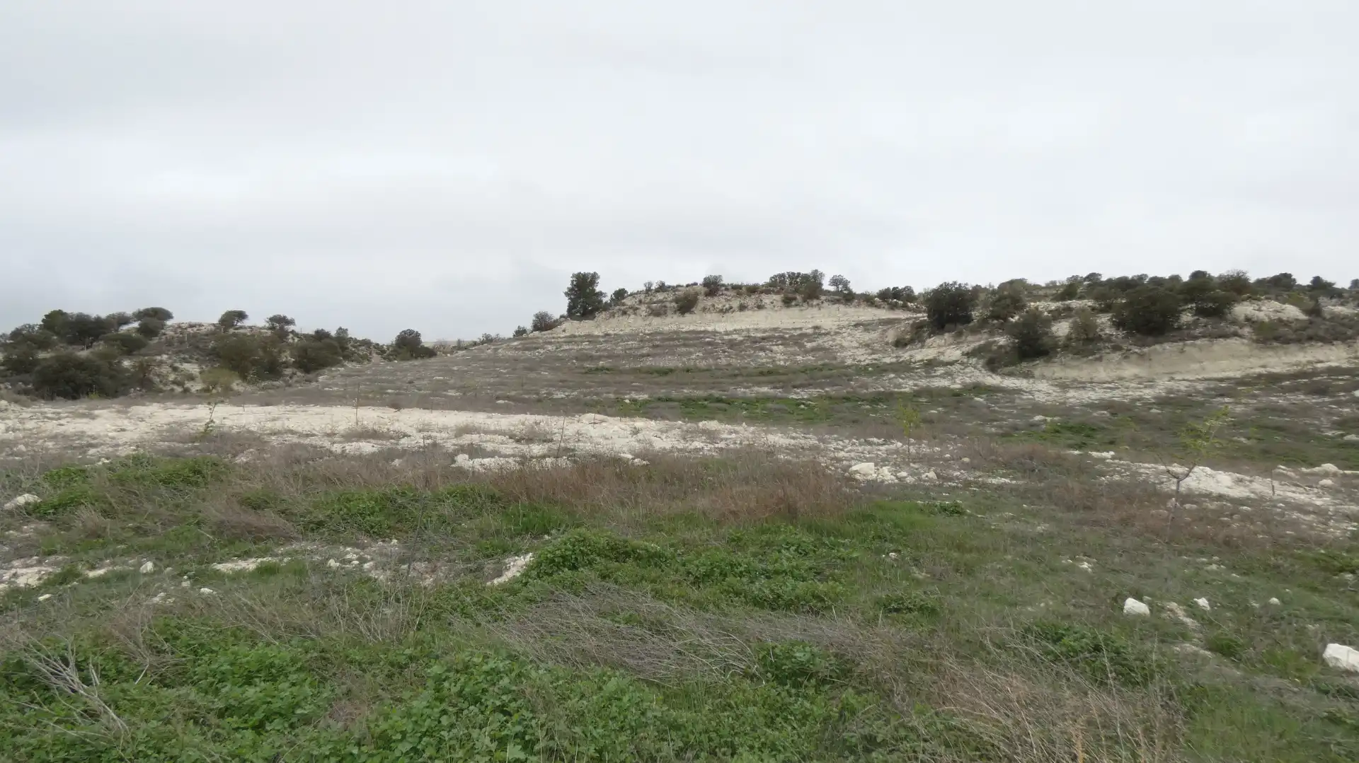 Terreno en venta en María