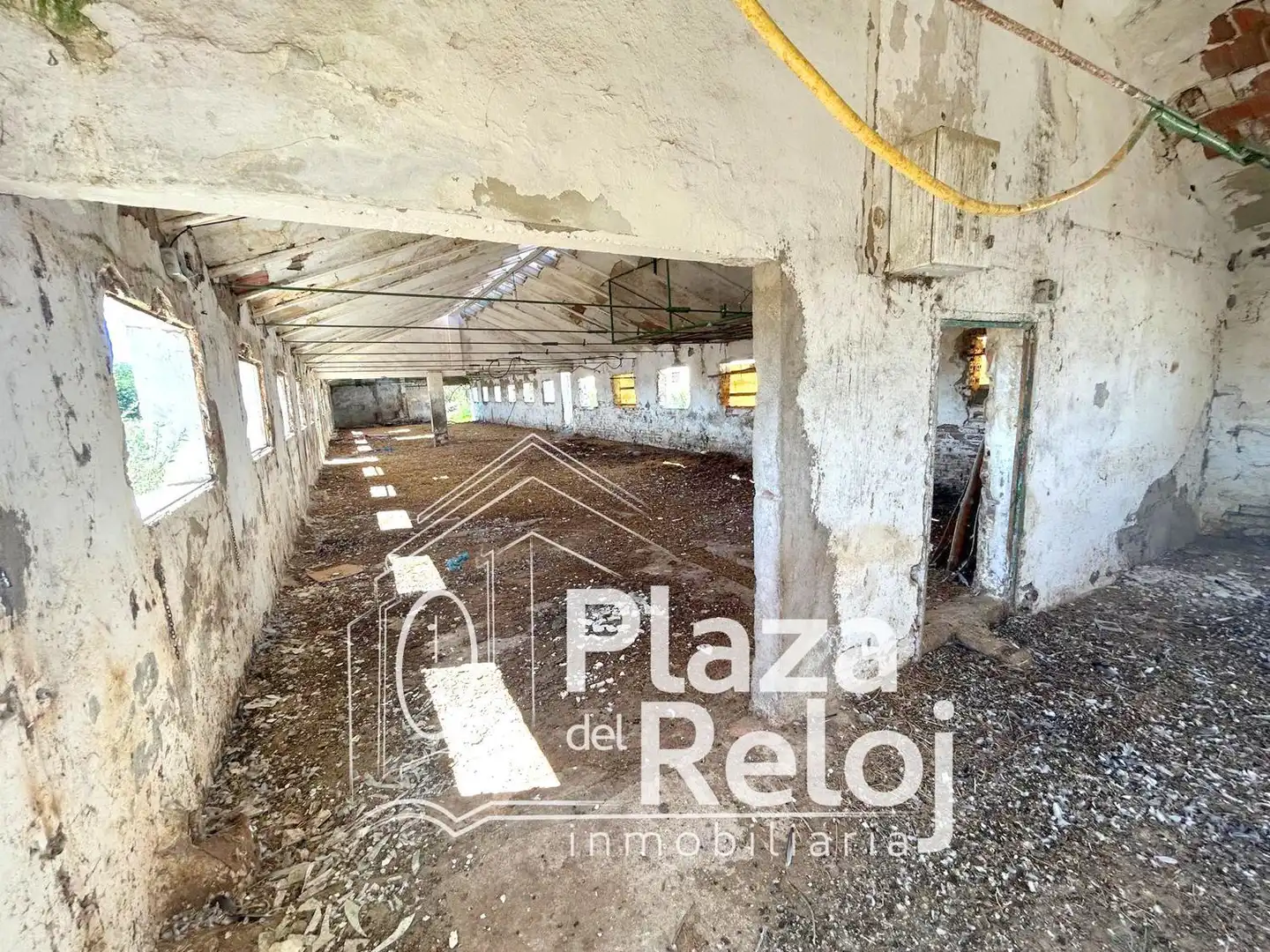 Land for sale in Pepino